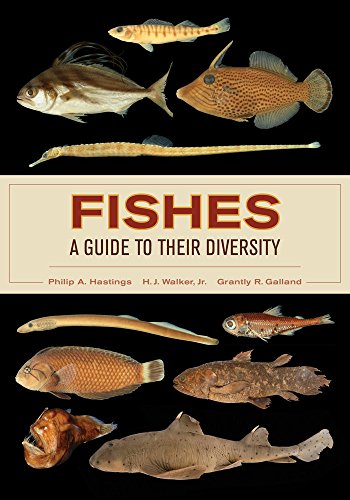 Algopix Similar Product 10 - Fishes: A Guide to Their Diversity