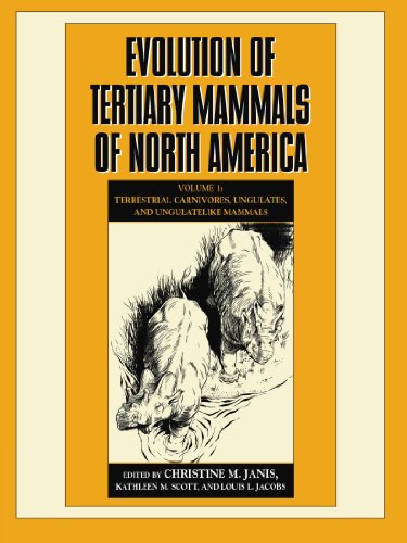 Algopix Similar Product 16 - Evolution of Tertiary Mammals of North