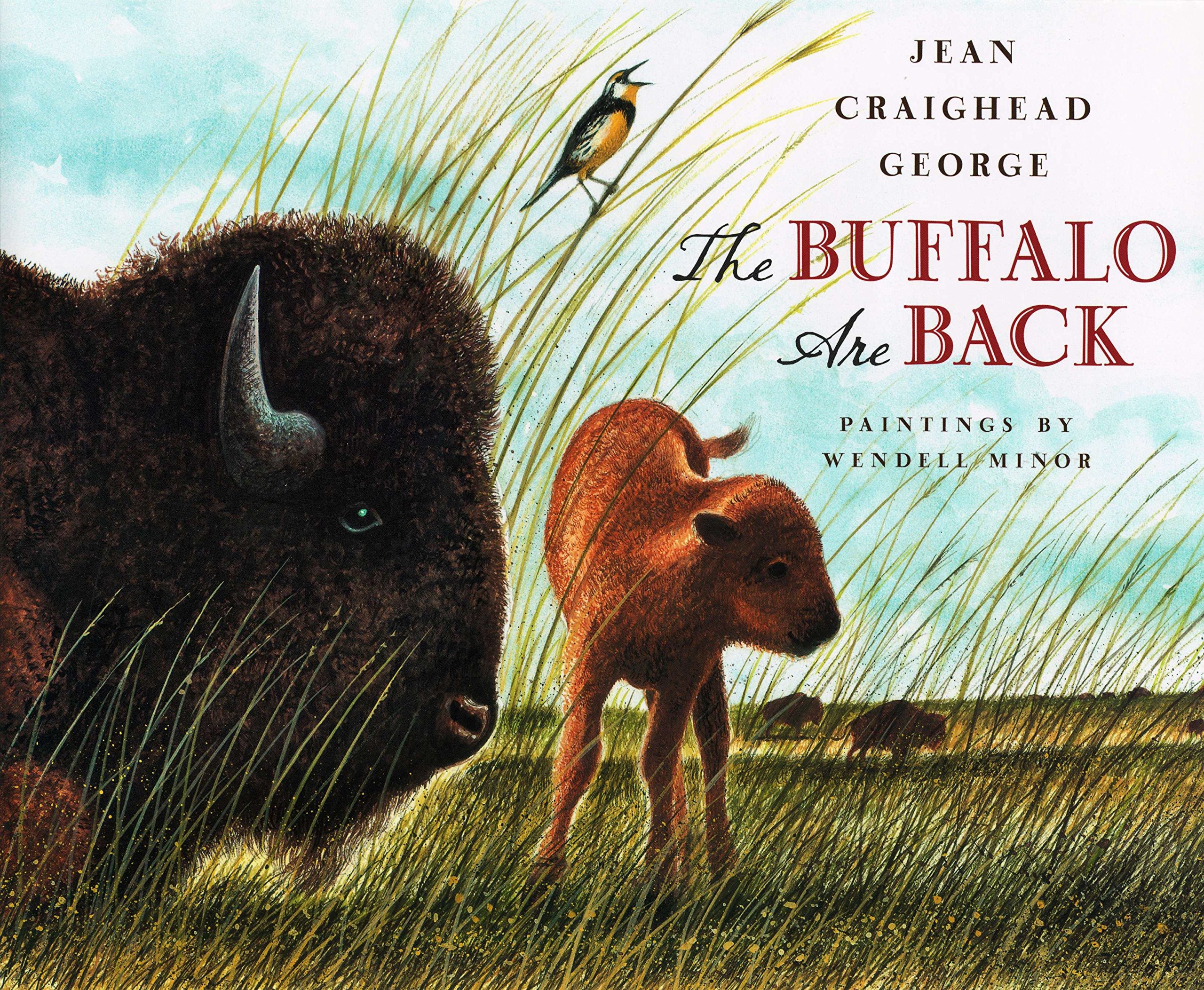 Algopix Similar Product 4 - The Buffalo Are Back