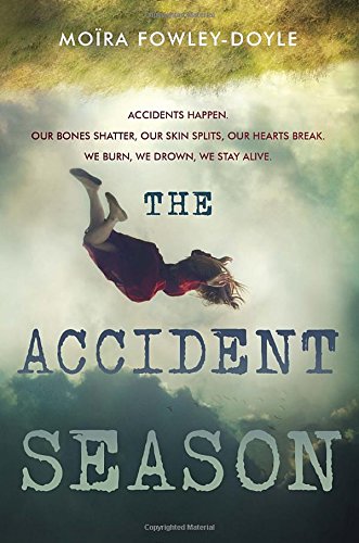 Algopix Similar Product 2 - The Accident Season