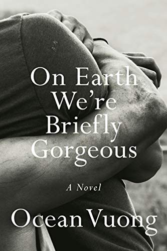 Algopix Similar Product 17 - On Earth We're Briefly Gorgeous: A Novel