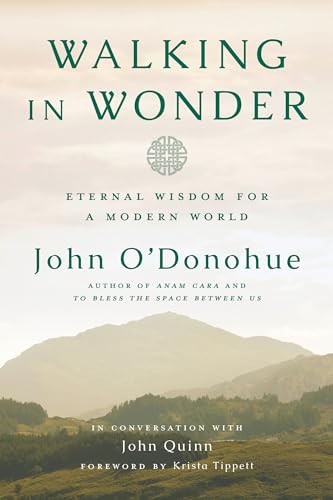 Algopix Similar Product 12 - Walking in Wonder Eternal Wisdom for a