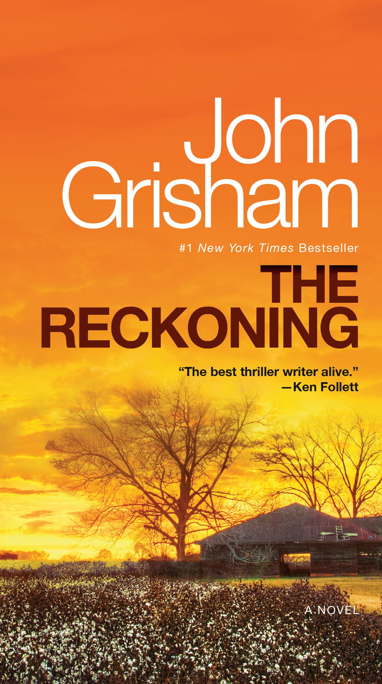 Algopix Similar Product 13 - The Reckoning: A Novel