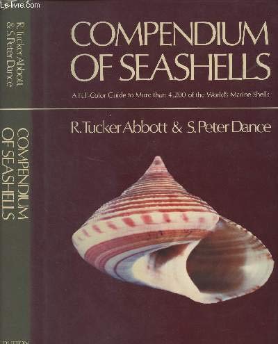 Algopix Similar Product 15 - Compendium of Seashells A FullColor