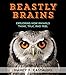 Algopix Similar Product 4 - Beastly Brains Exploring How Animals