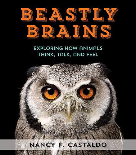 Algopix Similar Product 9 - Beastly Brains Exploring How Animals