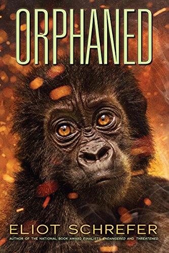 Algopix Similar Product 8 - Orphaned (4) (Ape Quartet)