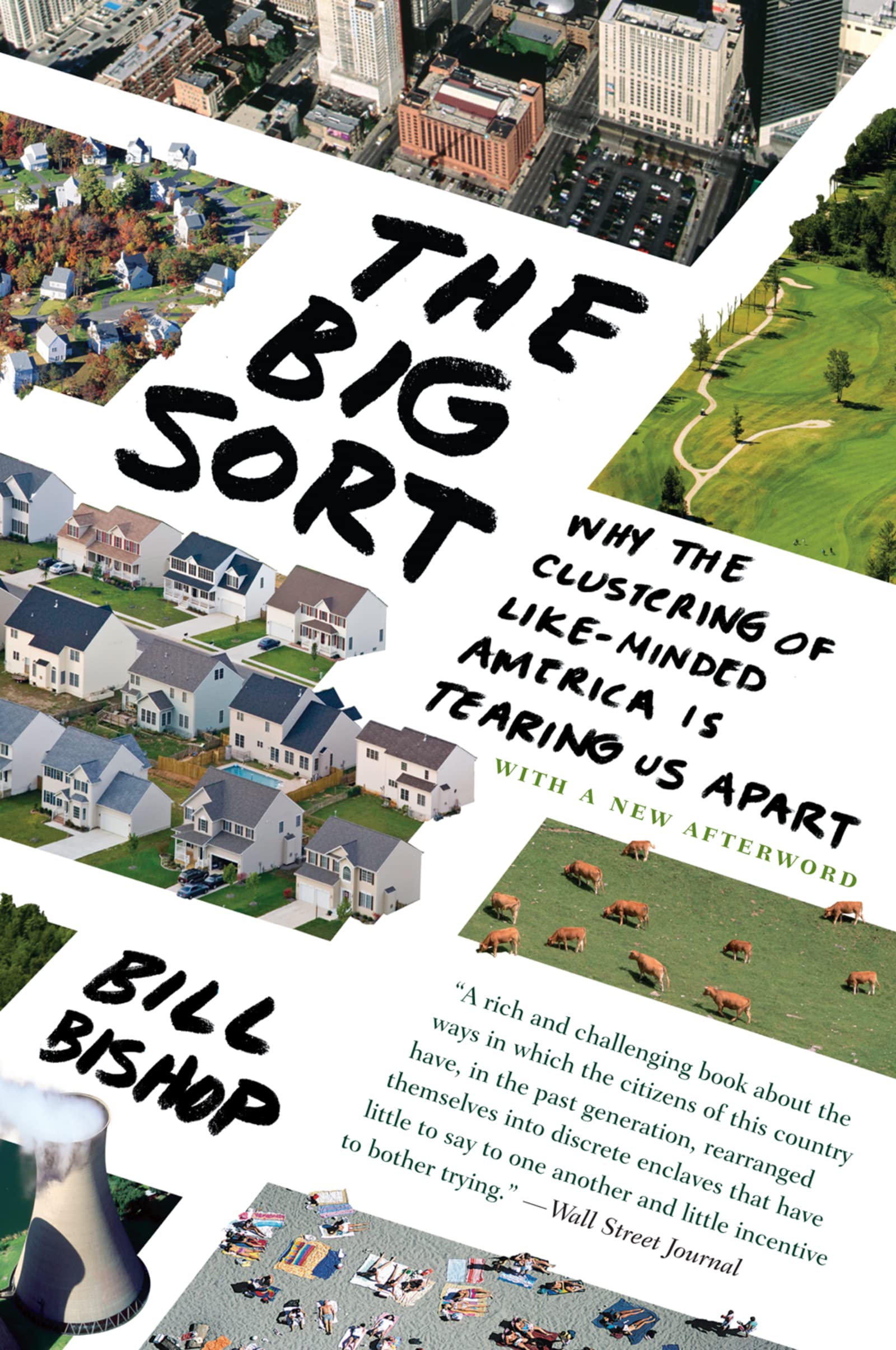 Algopix Similar Product 16 - The Big Sort Why the Clustering of