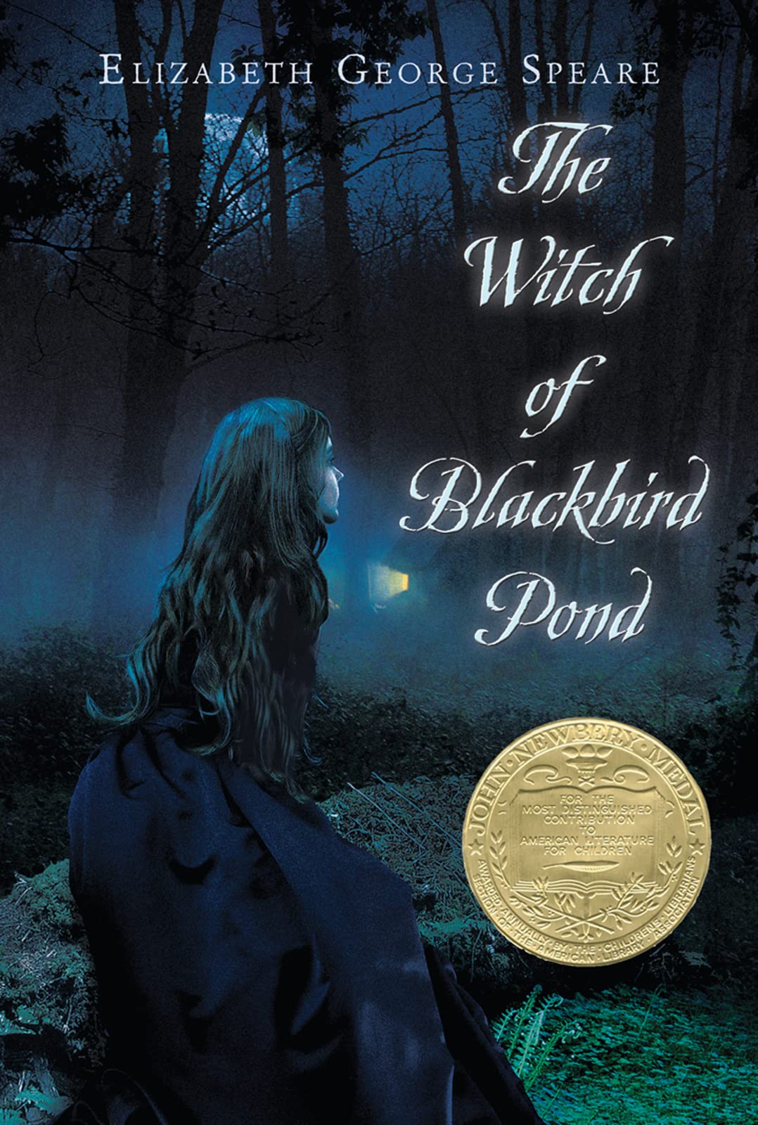 Algopix Similar Product 19 - The Witch of Blackbird Pond A Newbery