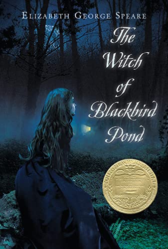 Algopix Similar Product 10 - The Witch of Blackbird Pond A Newbery