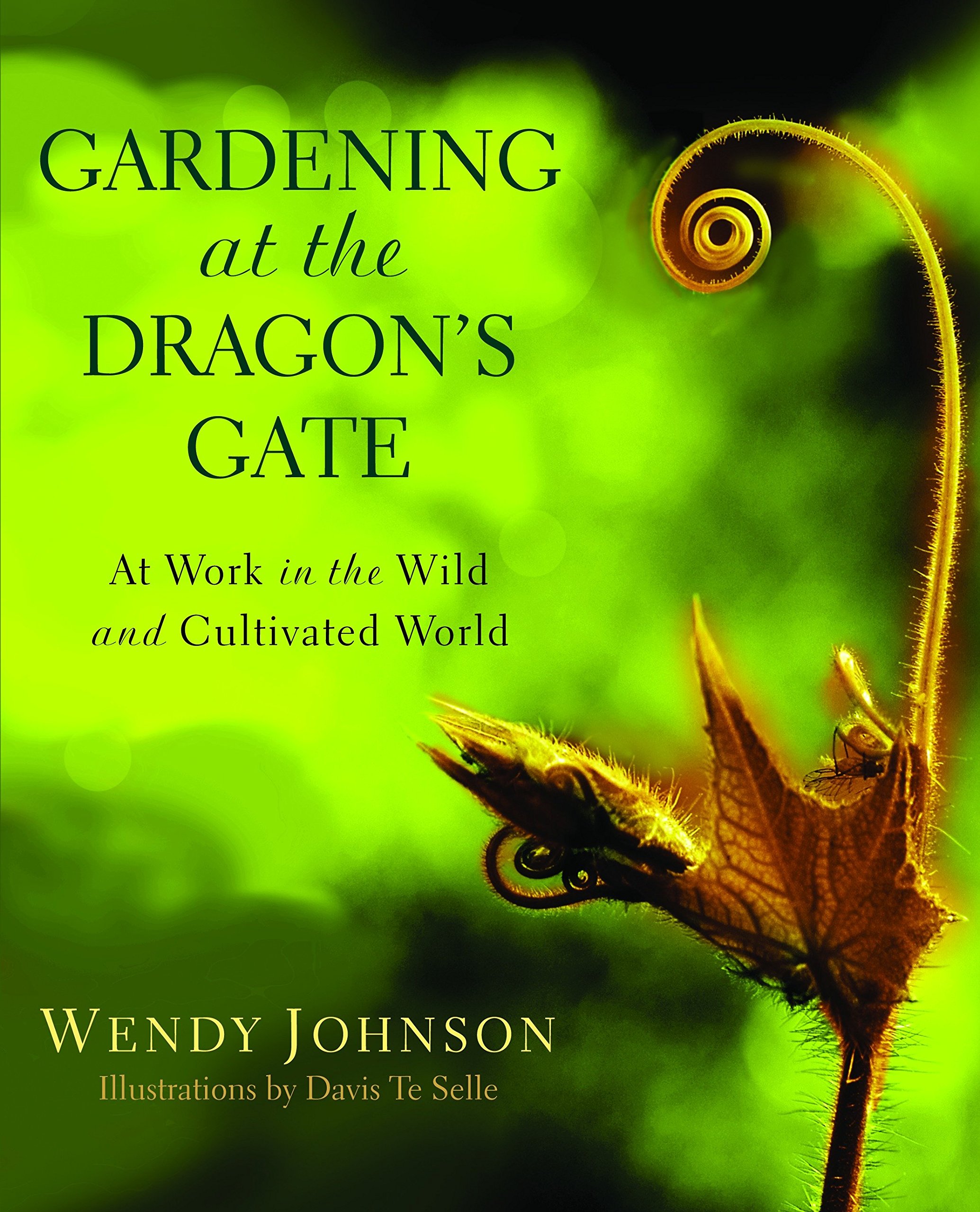 Algopix Similar Product 15 - Gardening at the Dragons Gate At Work