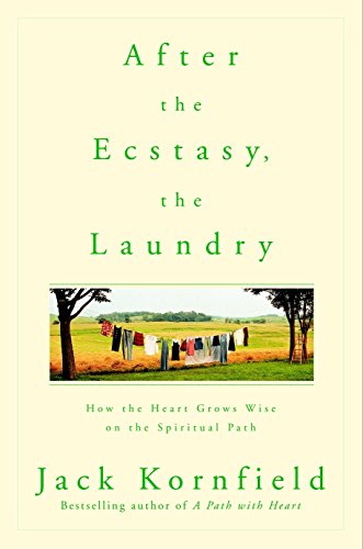 Algopix Similar Product 16 - After the Ecstasy the Laundry How the
