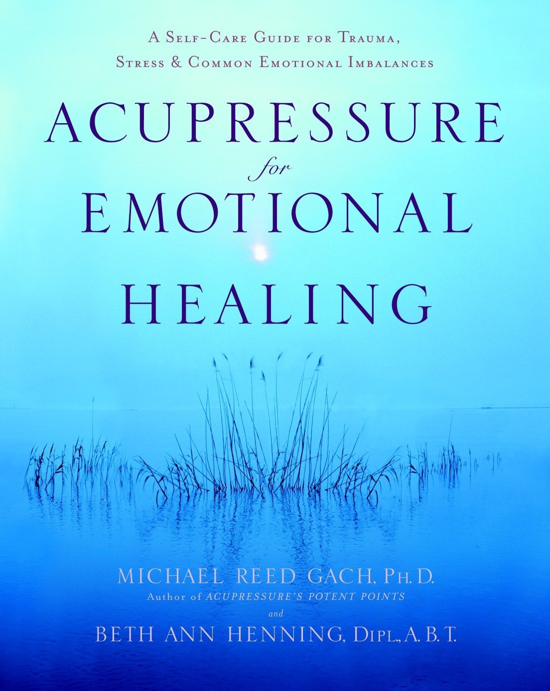 Algopix Similar Product 15 - Acupressure for Emotional Healing A