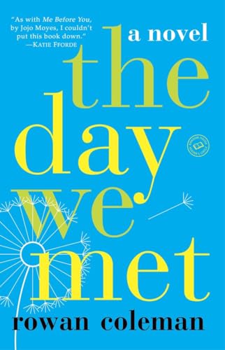 Algopix Similar Product 13 - The Day We Met: A Novel