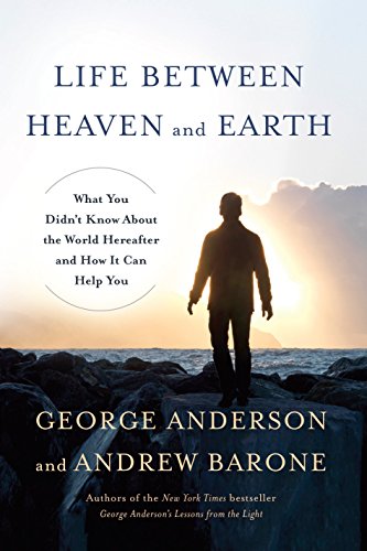 Algopix Similar Product 10 - Life Between Heaven and Earth What You