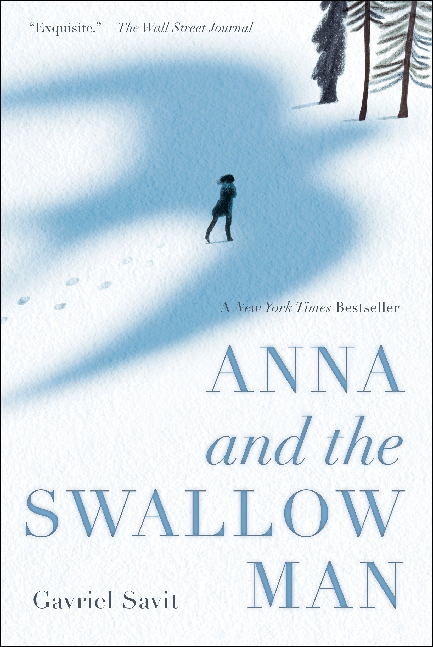 Algopix Similar Product 13 - Anna and the Swallow Man