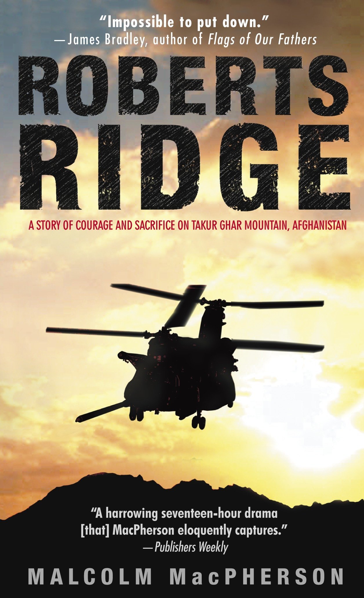 Algopix Similar Product 18 - ROBERTS RIDGE A Story of Courage and