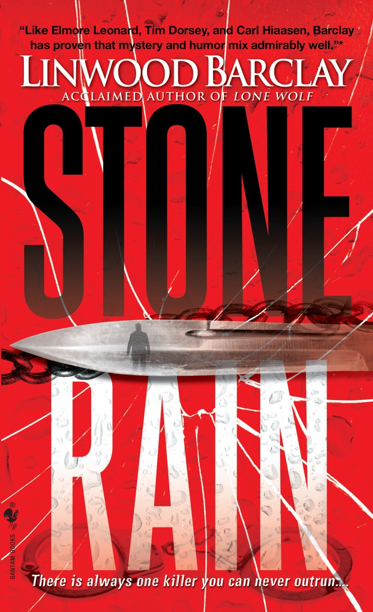 Algopix Similar Product 7 - Stone Rain (Zack Walker)