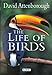 Algopix Similar Product 6 - The Life of Birds