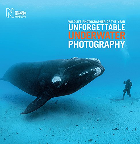 Algopix Similar Product 17 - Wildlife Photographer of the Year