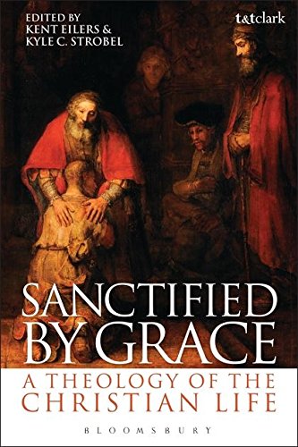 Algopix Similar Product 2 - Sanctified by Grace A Theology of the