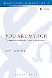 Algopix Similar Product 1 - You Are My Son The Family of God in