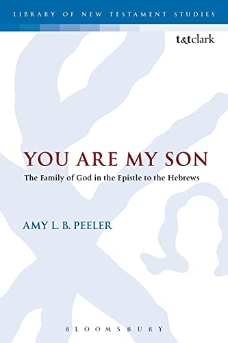 Algopix Similar Product 6 - You Are My Son The Family of God in