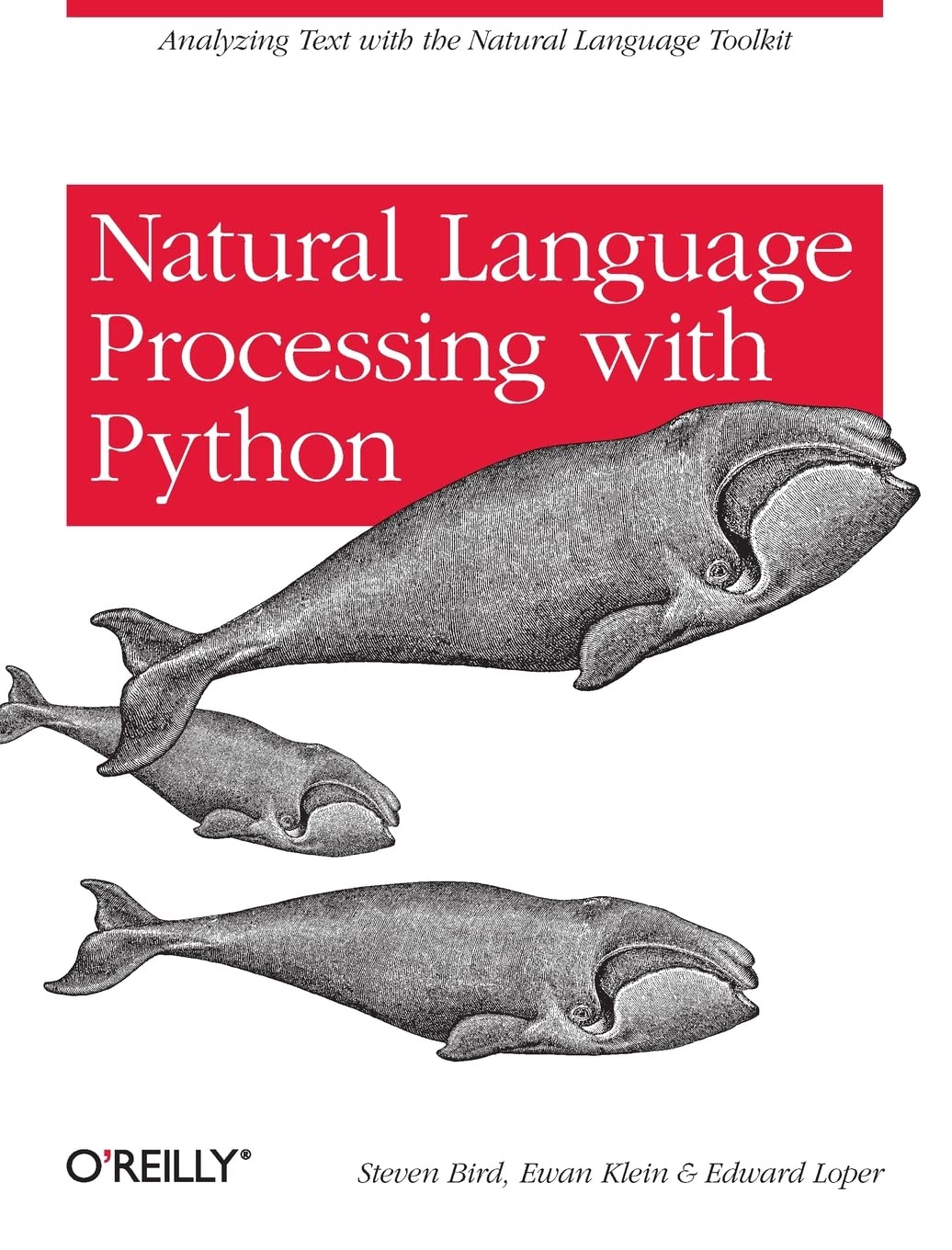 Algopix Similar Product 17 - Natural Language Processing with