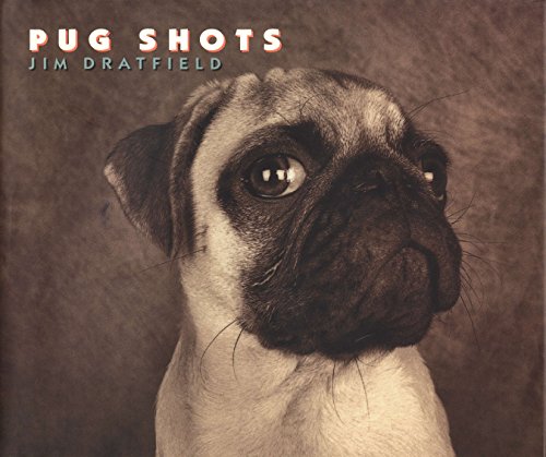 Algopix Similar Product 14 - Pug Shots
