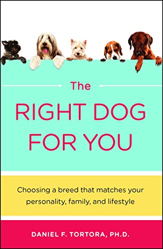 Algopix Similar Product 5 - Right Dog For You