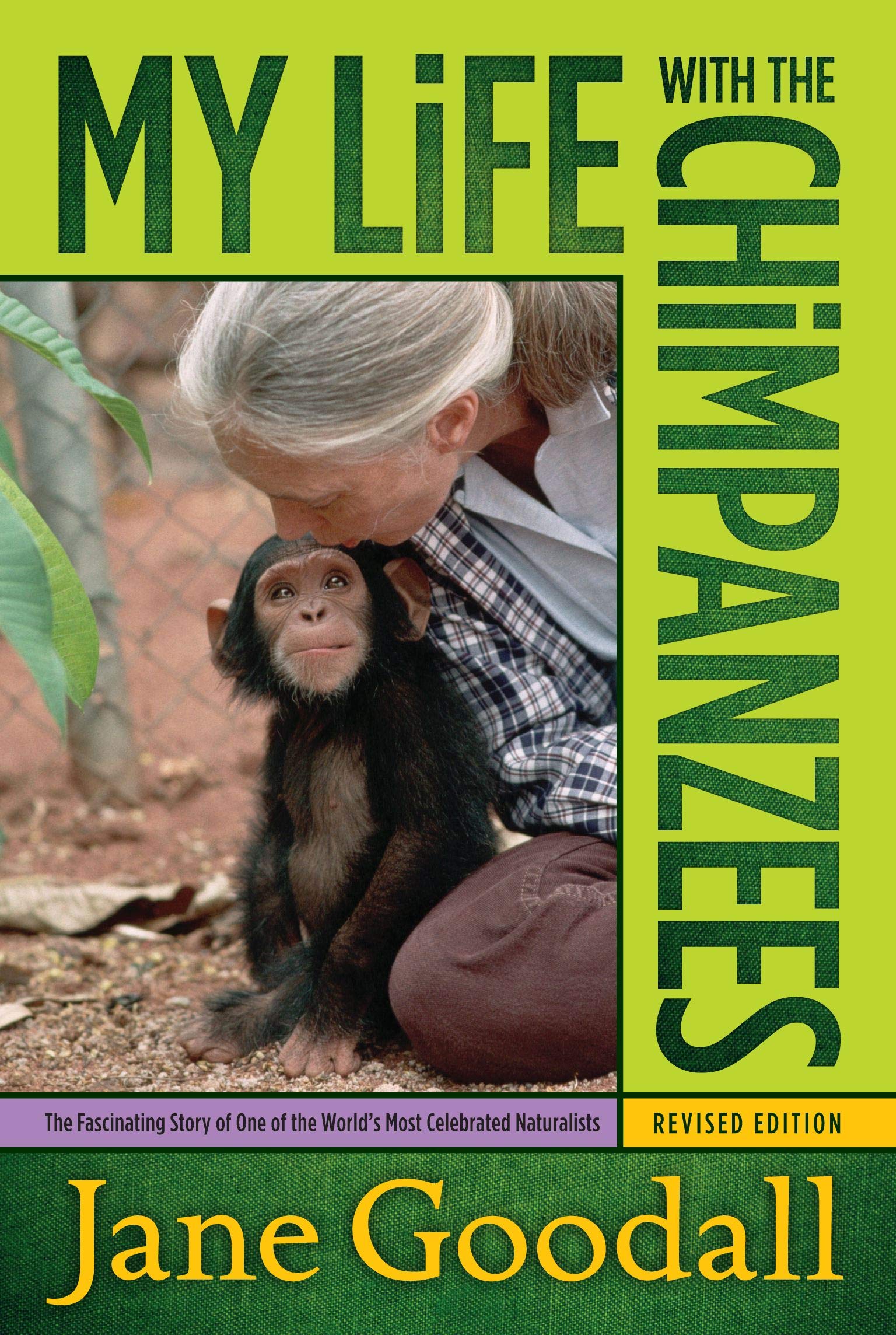 Algopix Similar Product 20 - My Life with the Chimpanzees