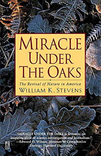 Algopix Similar Product 17 - Miracle Under the Oaks The Revival of