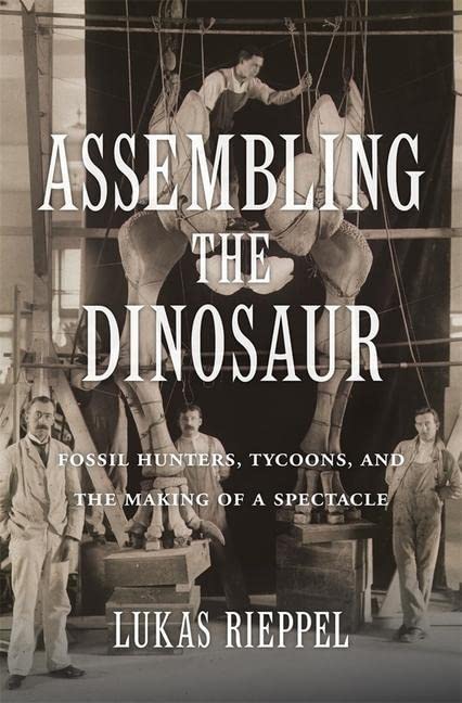 Algopix Similar Product 20 - Assembling the Dinosaur Fossil