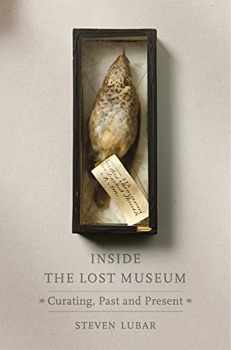 Algopix Similar Product 19 - Inside the Lost Museum Curating Past