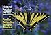 Algopix Similar Product 4 - National Audubon Society Pocket Guide