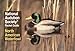 Algopix Similar Product 2 - National Audubon Society Pocket Guide