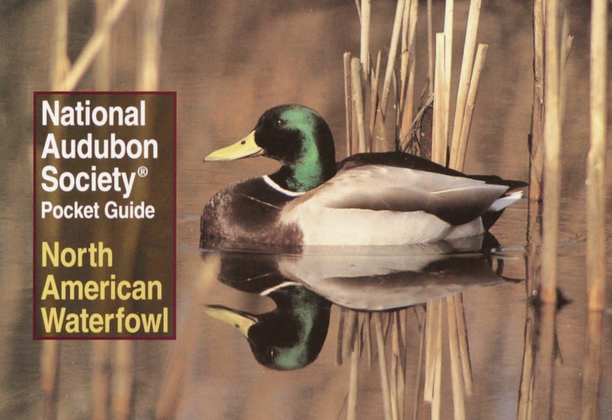 Algopix Similar Product 12 - National Audubon Society Pocket Guide