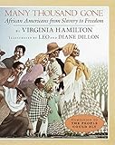 Algopix Similar Product 13 - Many Thousand Gone African Americans