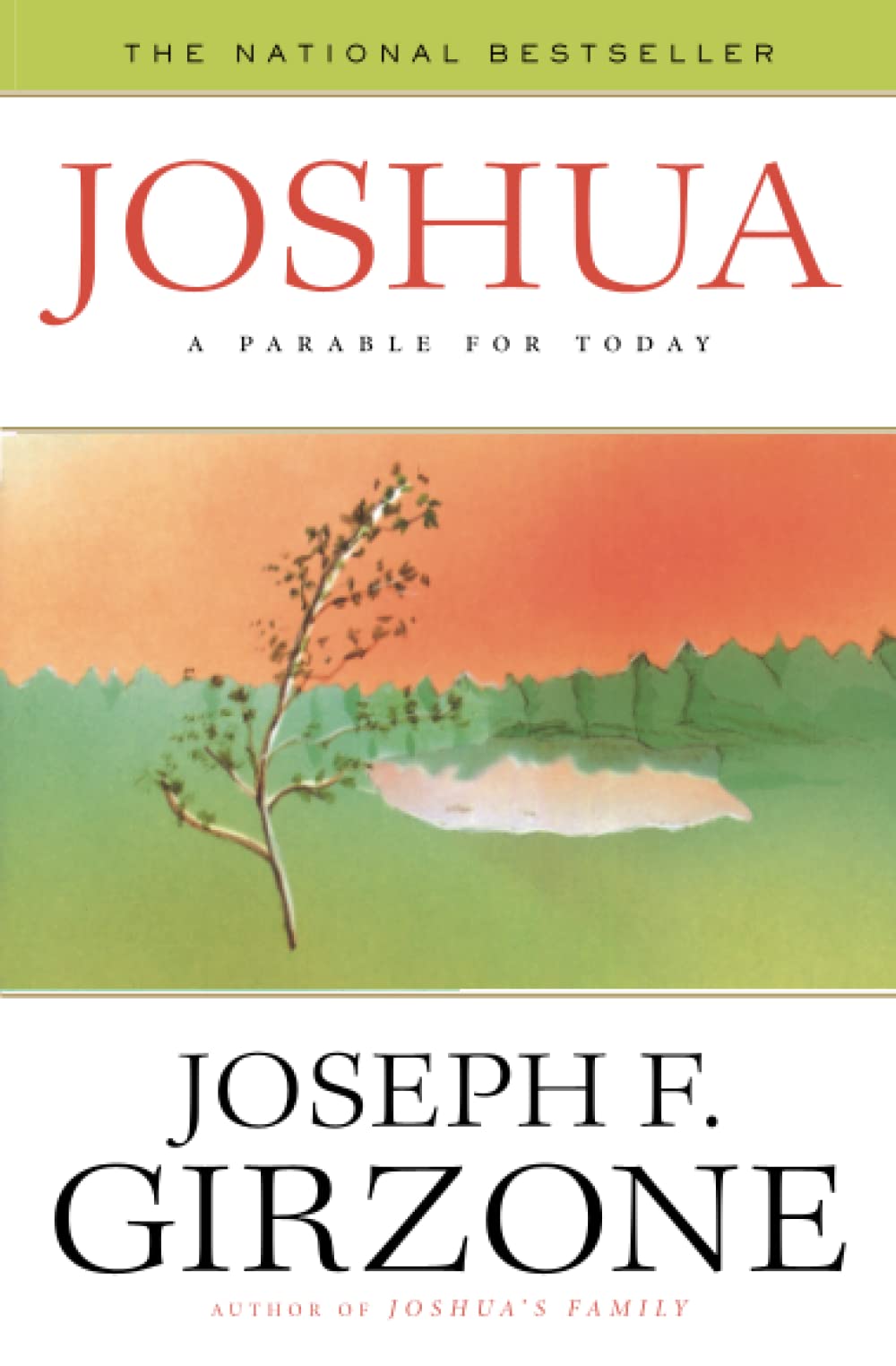 Algopix Similar Product 16 - Joshua: A Parable for Today
