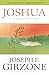 Algopix Similar Product 2 - Joshua: A Parable for Today