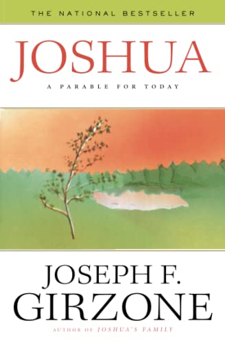 Algopix Similar Product 20 - Joshua: A Parable for Today
