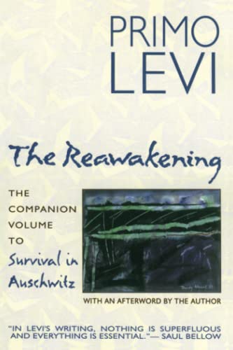 Algopix Similar Product 12 - The Reawakening