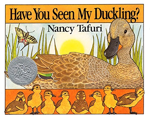 Algopix Similar Product 7 - Have You Seen My Duckling A Caldecott