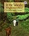 Algopix Similar Product 20 - In the Woods: Who's Been Here?