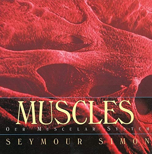 Algopix Similar Product 10 - Muscles: Our Muscular System