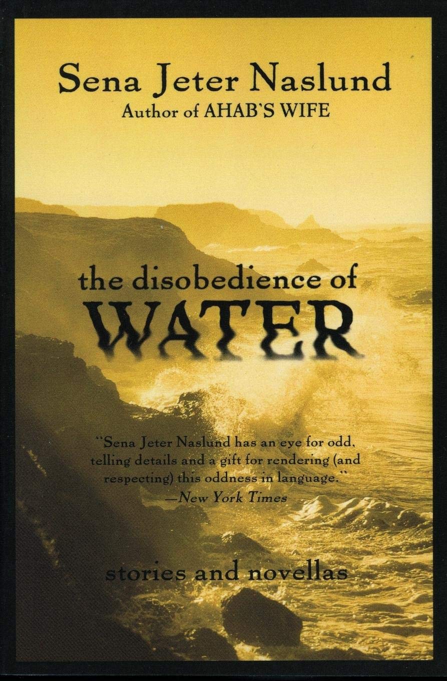 Algopix Similar Product 20 - The Disobedience of Water Stories and