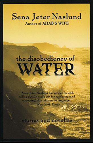 Algopix Similar Product 8 - The Disobedience of Water Stories and