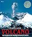 Algopix Similar Product 6 - Volcano Eruption and Healing of Mt St