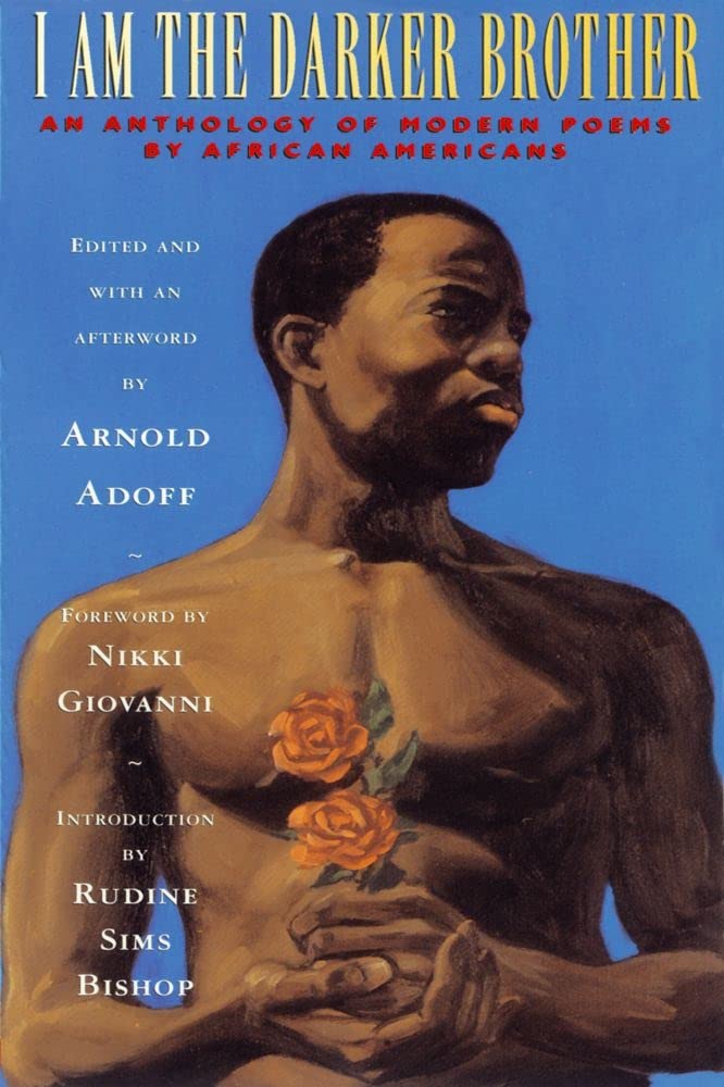 Algopix Similar Product 6 - I Am the Darker Brother An Anthology