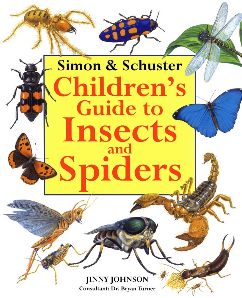 Algopix Similar Product 13 - Simon  Schuster Childrens Guide to